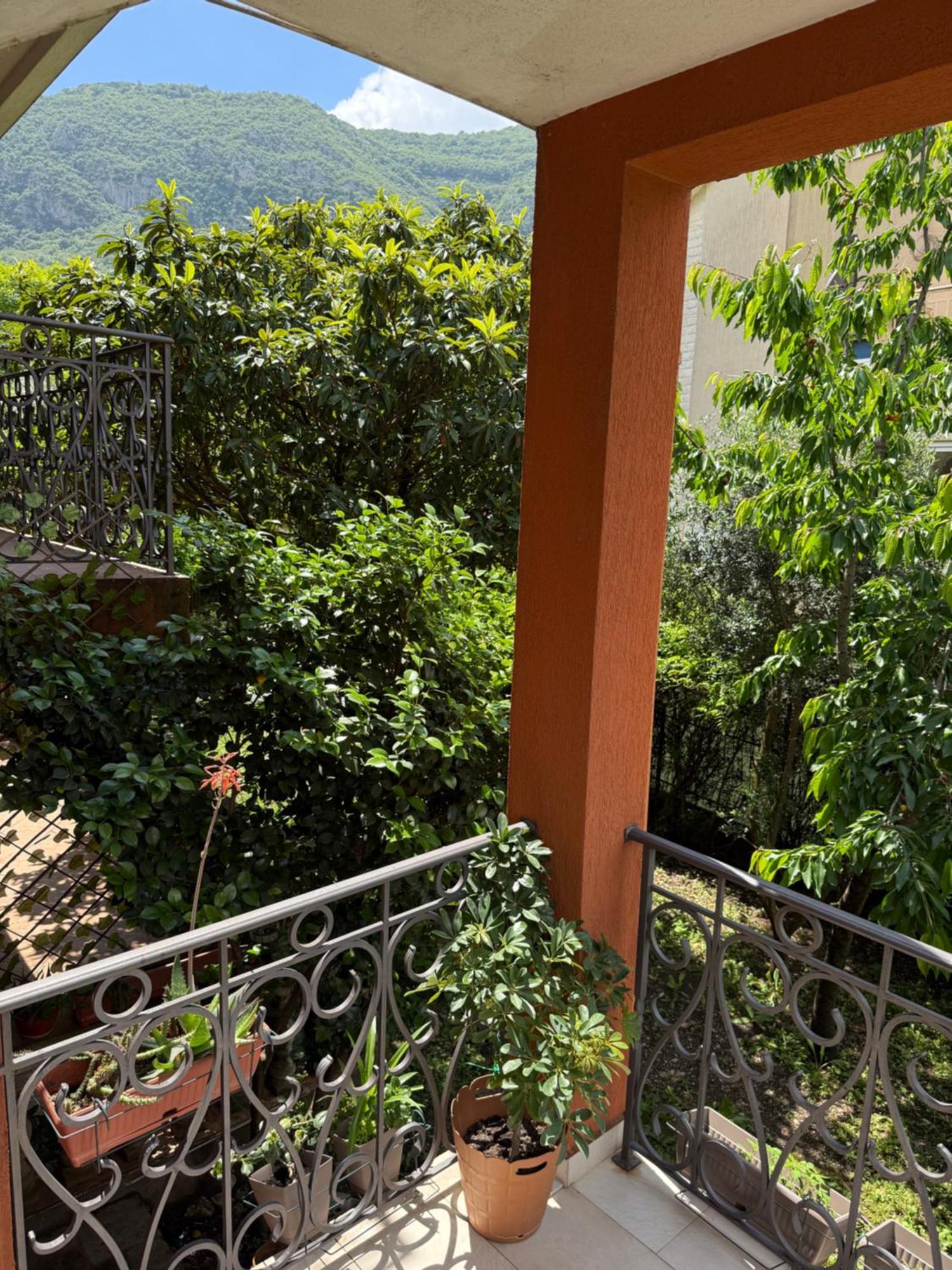 Apartment Damjan Kotor Exterior photo